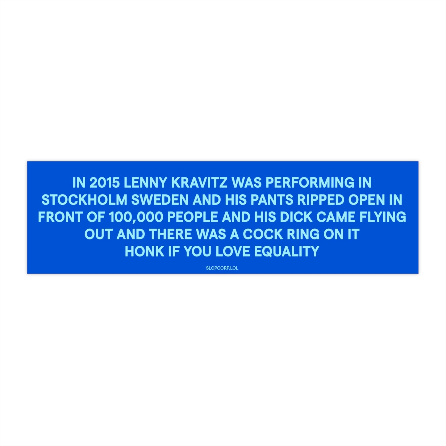 Lenny Kravitz ripped pants bumper sticker car magnet